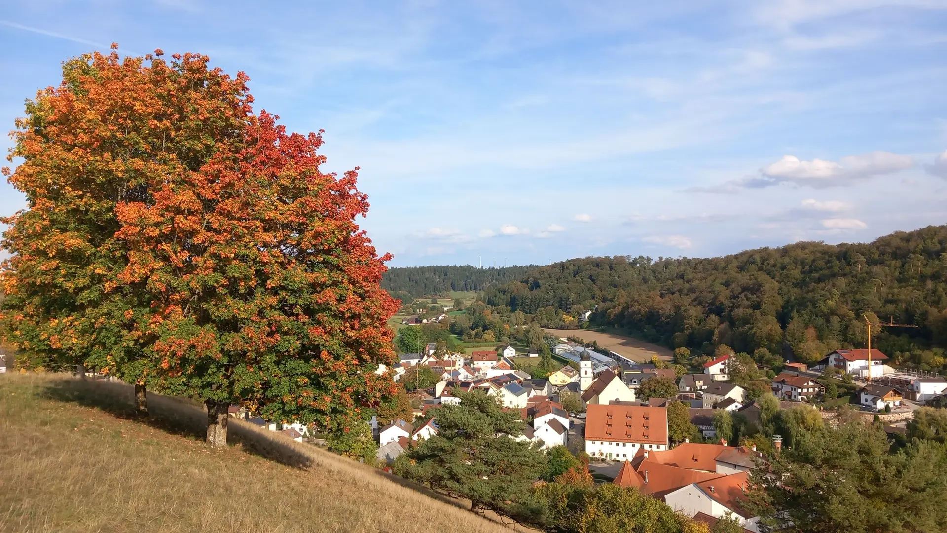 © Karl König