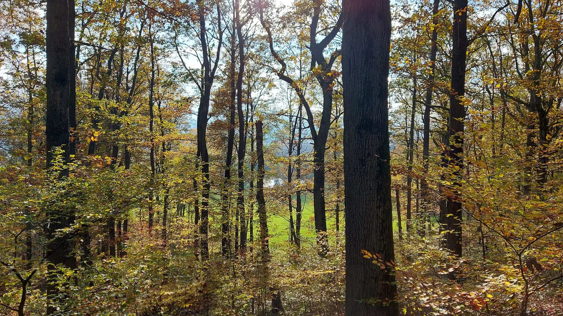 © Karl König © Karl König