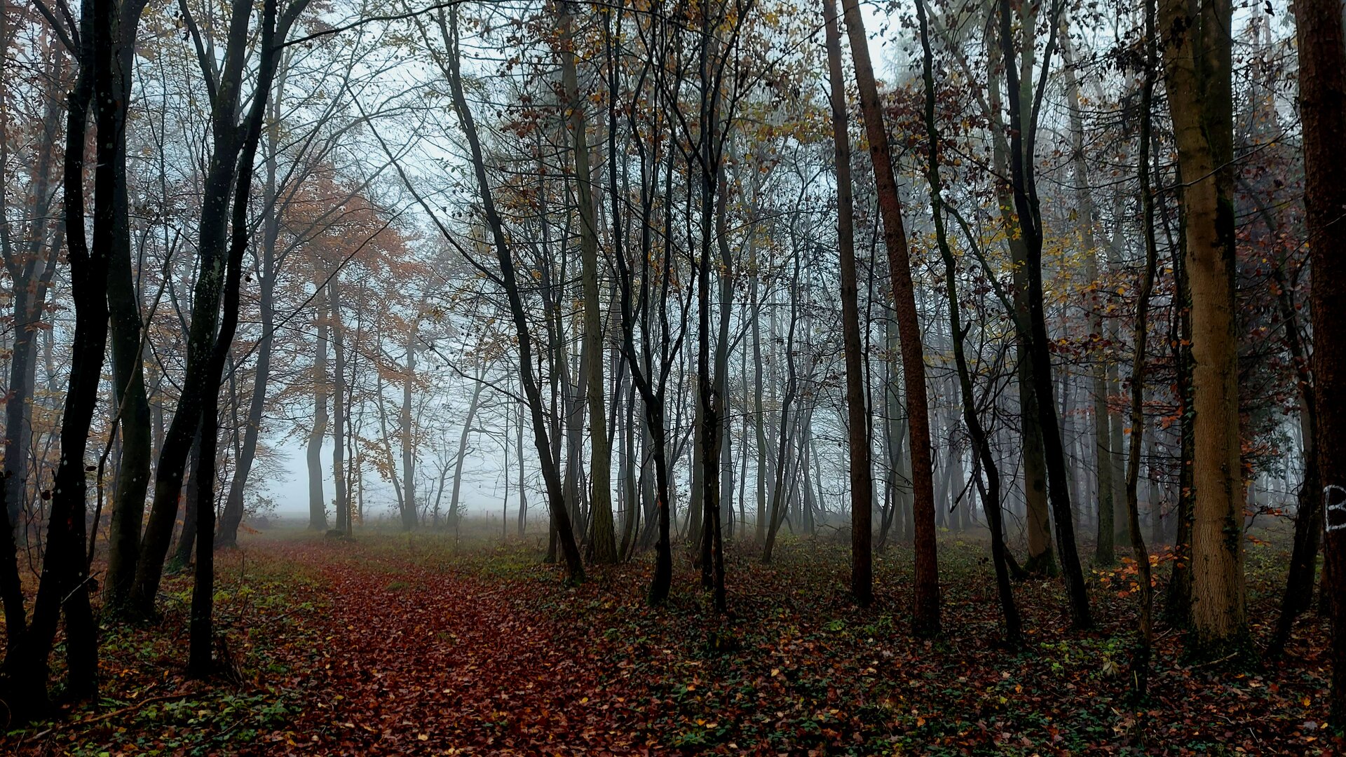 © Karl König © Karl König
