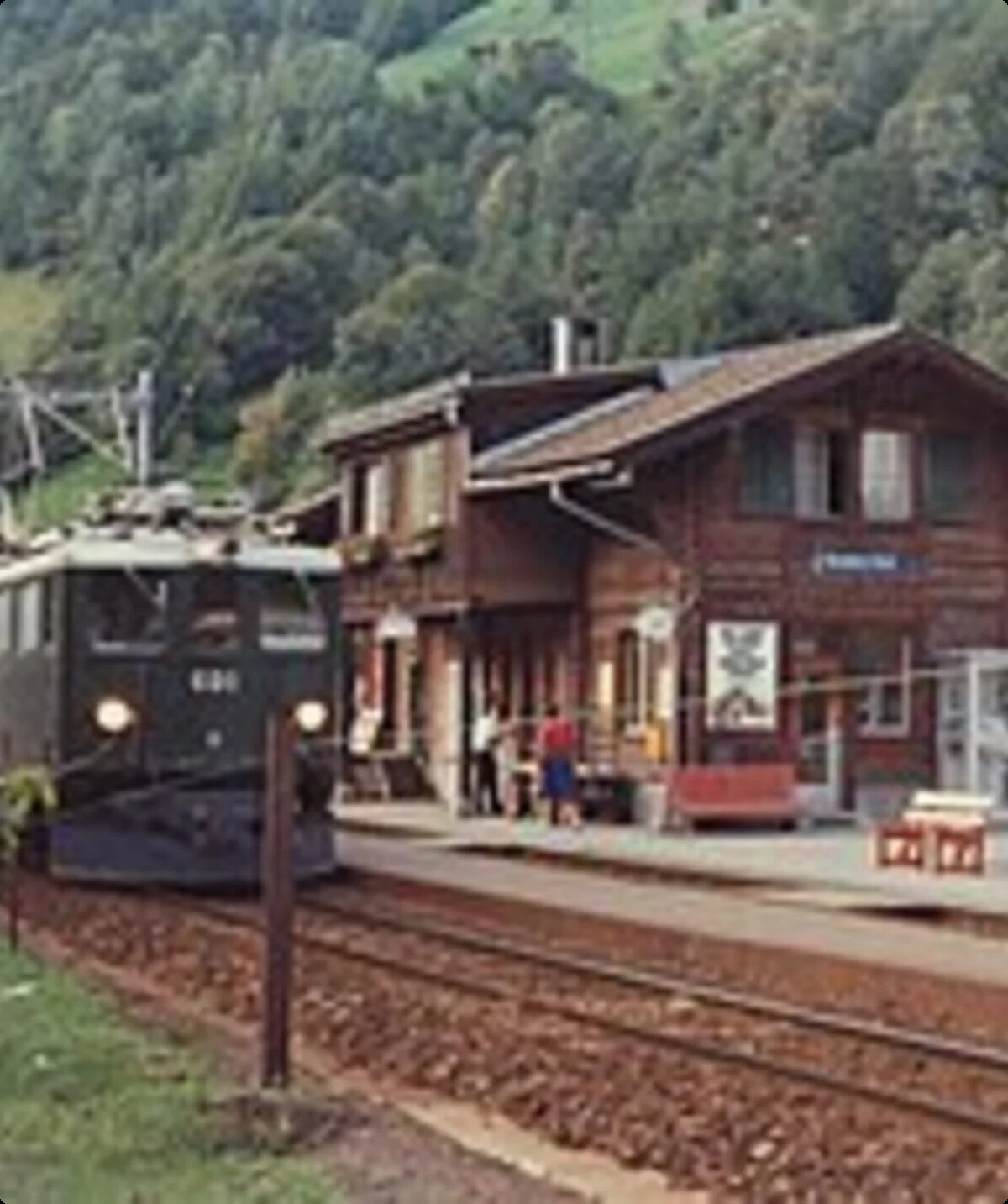 © Hans-Rudolf Berner, CC BY-SA 4.0 <https://creativecommons.org/licenses/by-sa/4.0>, via Wikimedia Commons