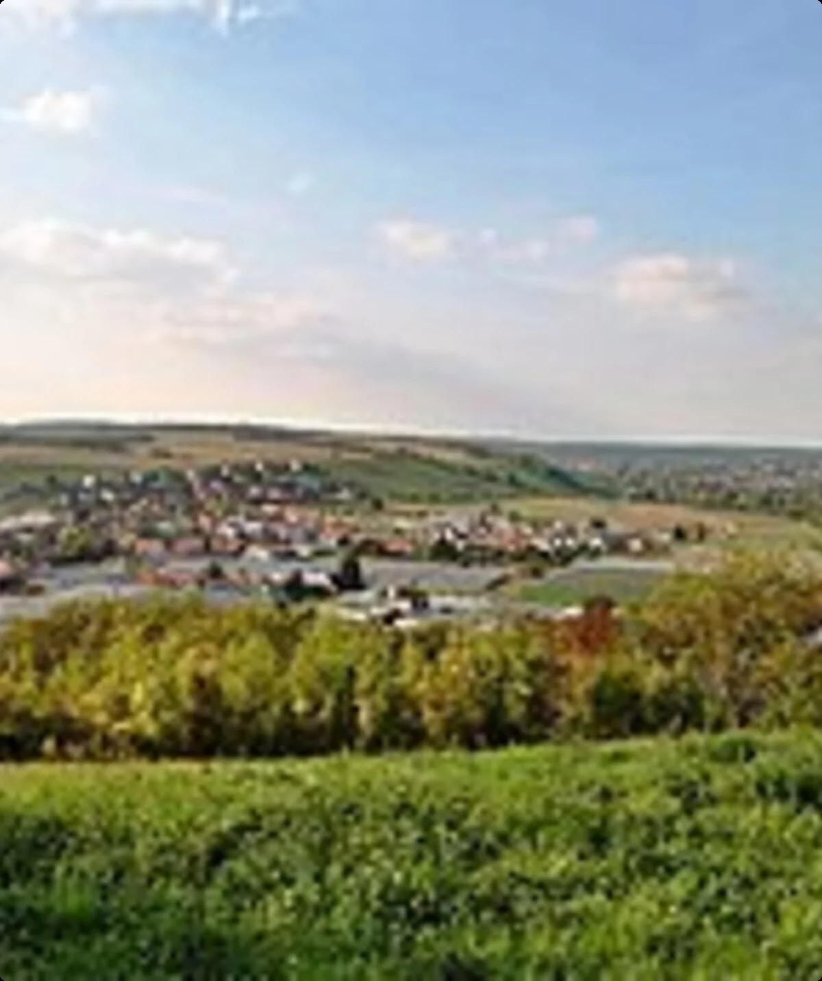 © Monandowitsch, CC BY-SA 4.0 <https://creativecommons.org/licenses/by-sa/4.0>, via Wikimedia Commons