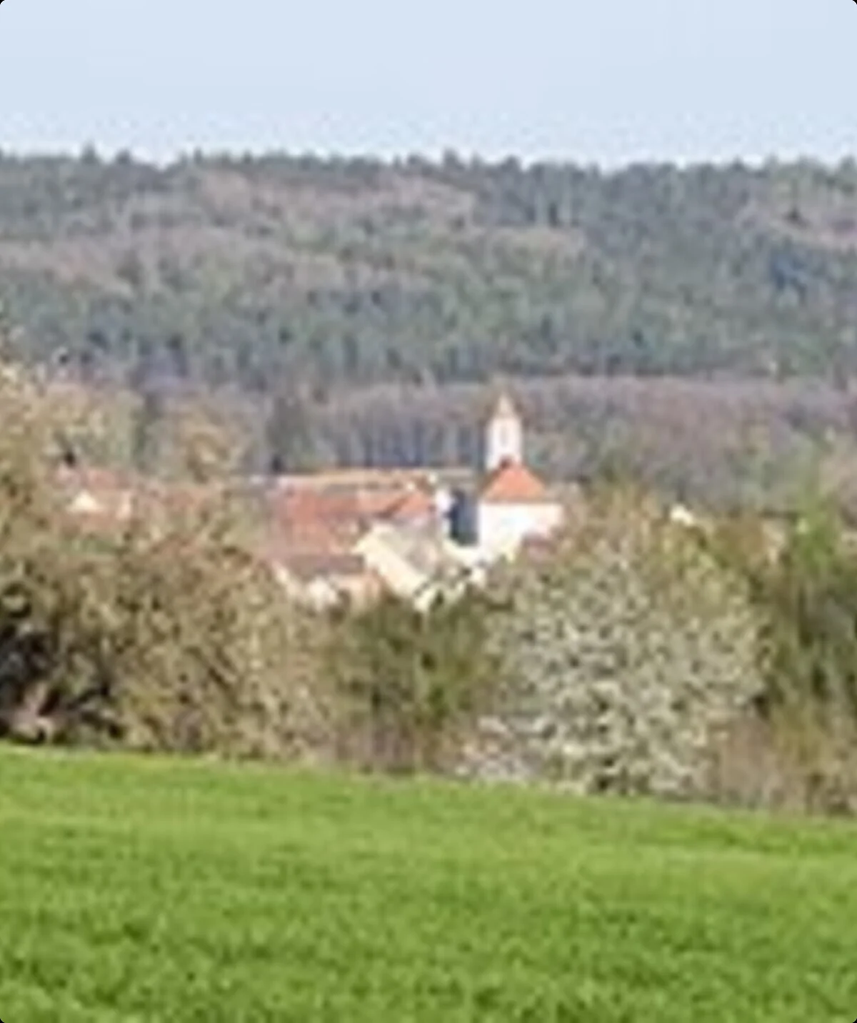 © Matthias Nonnenmacher, CC BY-SA 4.0 <https://creativecommons.org/licenses/by-sa/4.0>, via Wikimedia Commons