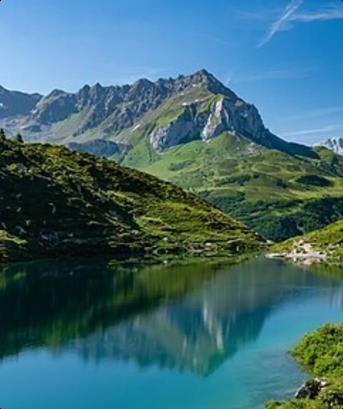 © Christoph Strässler from Oberdorf BL, Schweiz, CC BY-SA 2.0 <https://creativecommons.org/licenses/by-sa/2.0>, via Wikimedia Commons