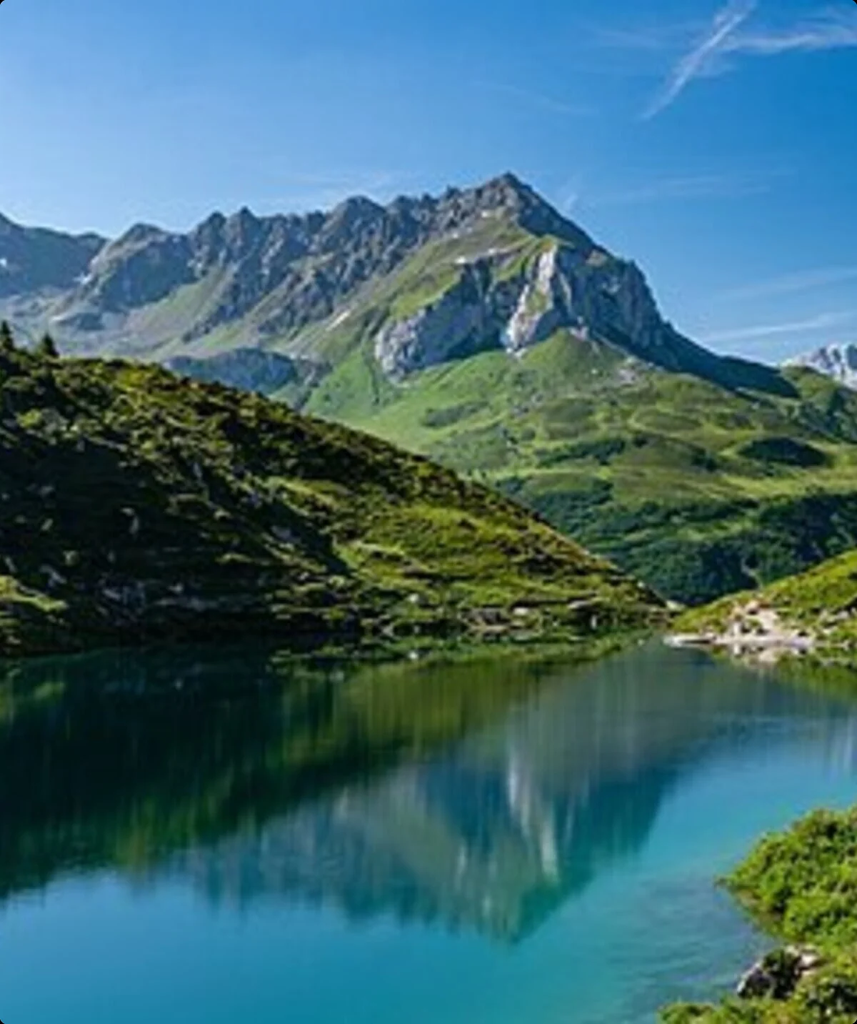 © Christoph Strässler from Oberdorf BL, Schweiz, CC BY-SA 2.0 <https://creativecommons.org/licenses/by-sa/2.0>, via Wikimedia Commons