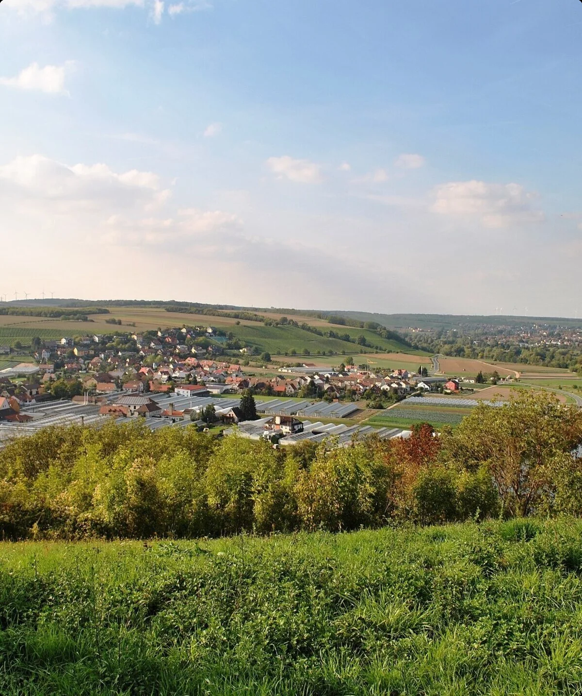 © Monandowitsch, CC BY-SA 4.0 <https://creativecommons.org/licenses/by-sa/4.0>, via Wikimedia Commons