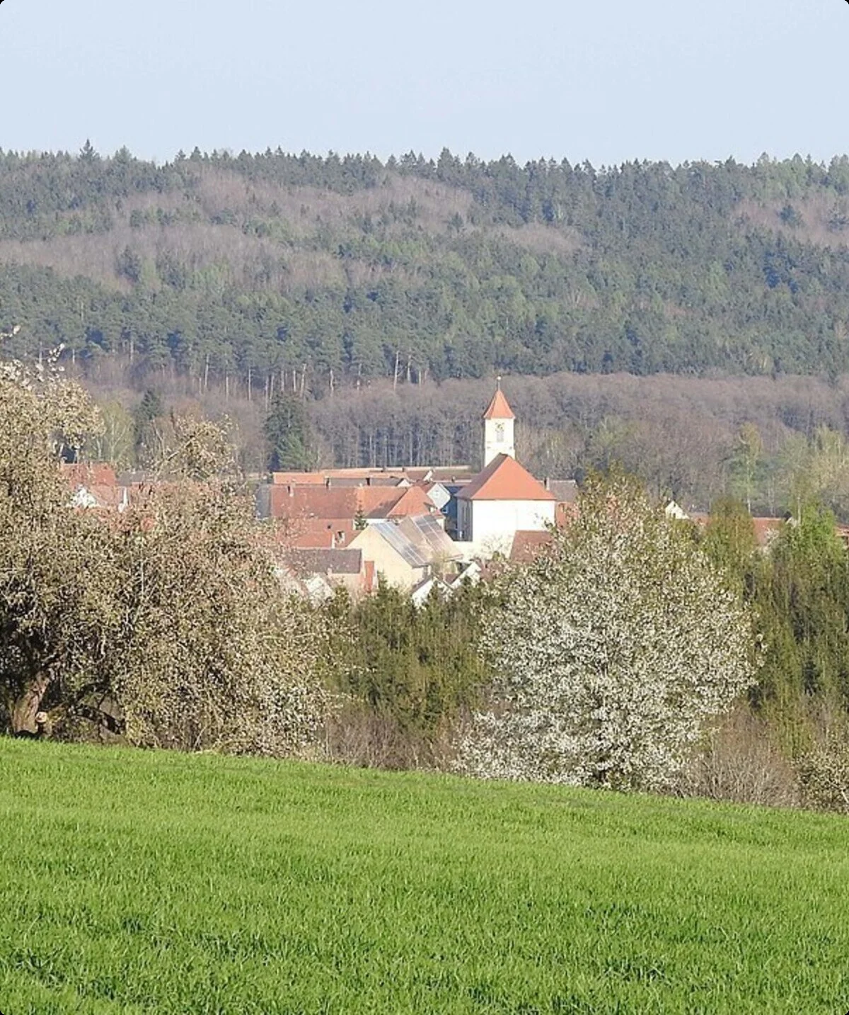 © Flodur63, CC BY-SA 4.0 <https://creativecommons.org/licenses/by-sa/4.0>, via Wikimedia Commons